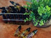 Rose Oil (Hair Only) $11.11